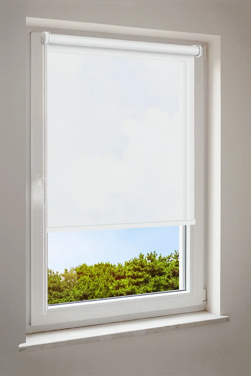 Rollo Schneeweiß | halbtransparent